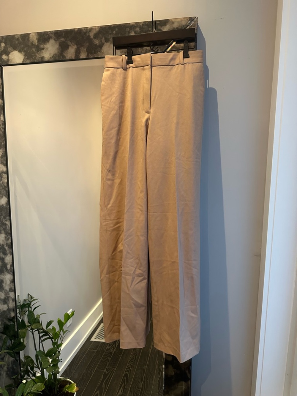 Aritzia Wide-Leg Trousers in Beige